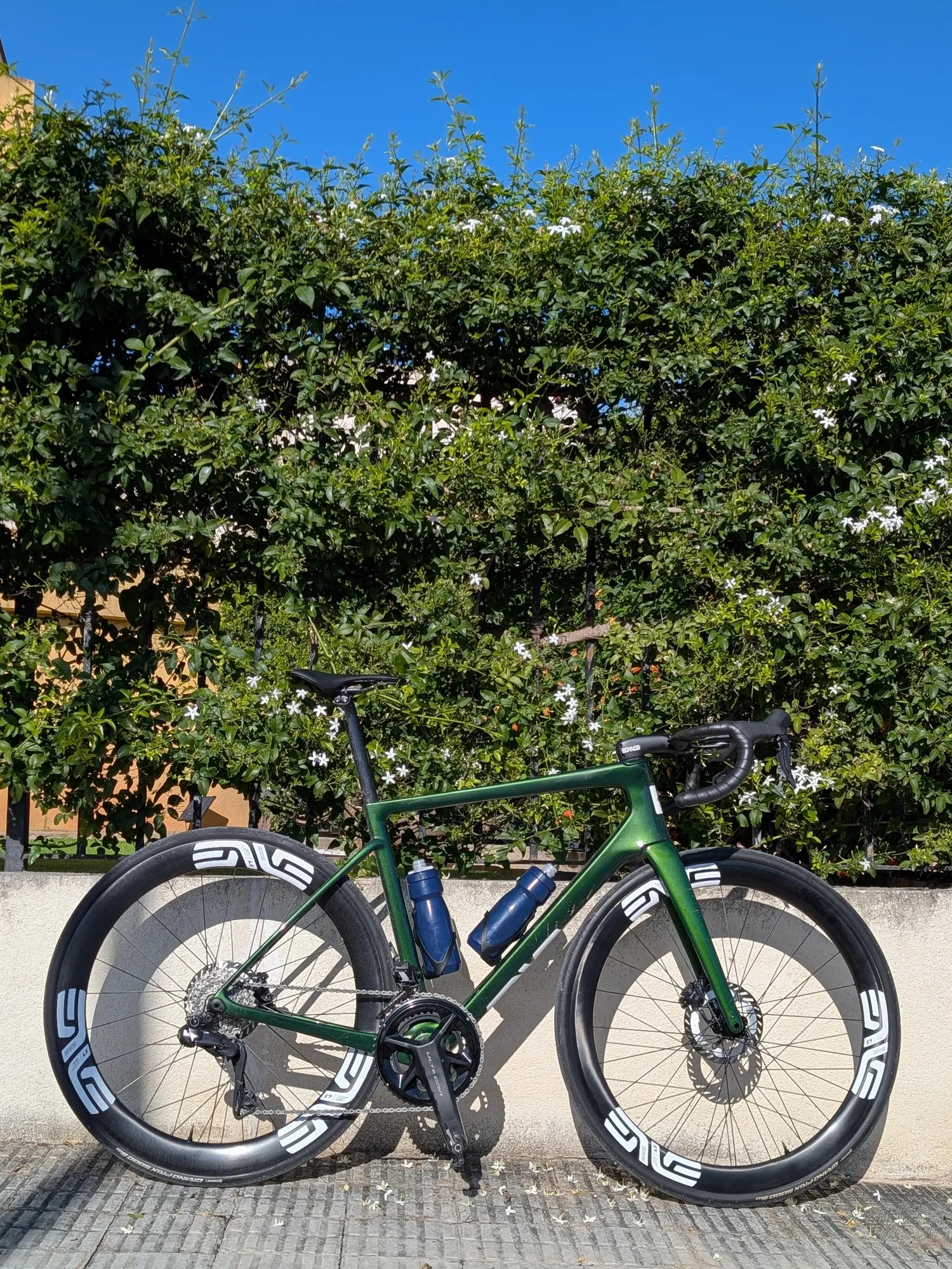NBD. ENVE Melee in beautiful green.