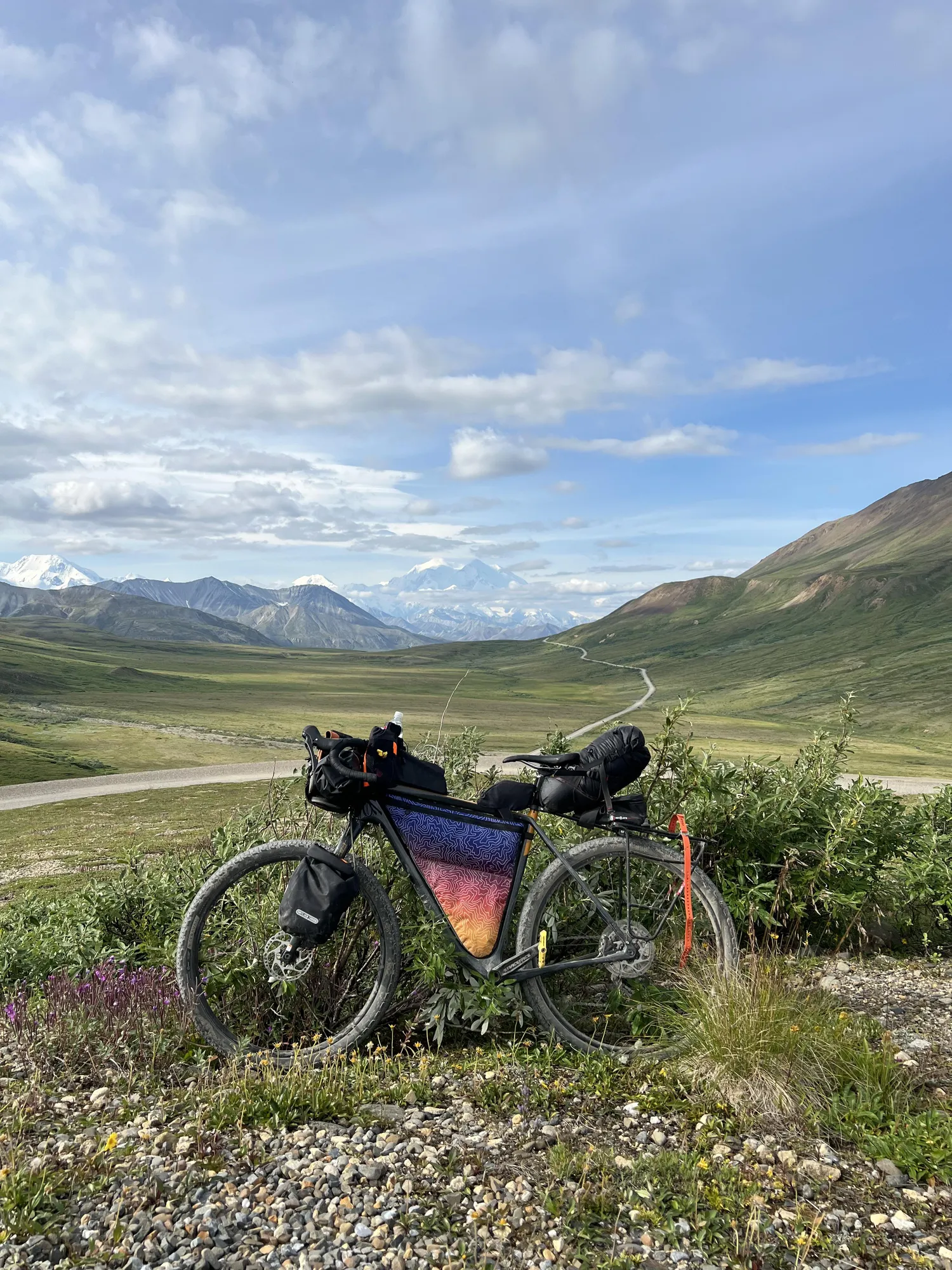 First bikepacking trip to Denali National park