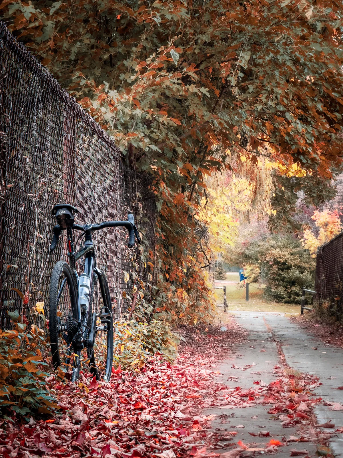 riding bikes every day until I can’t for some reason, day 1875