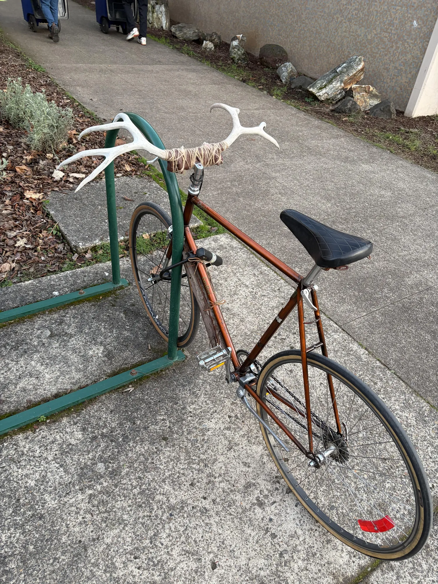 Maximum xbiking spotted