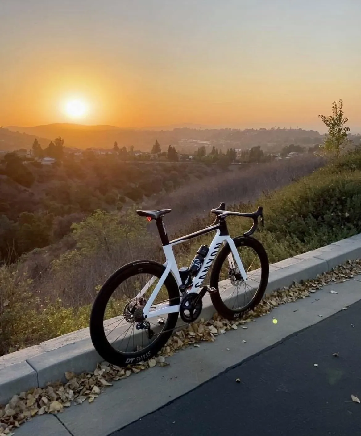 Road Bike Photography