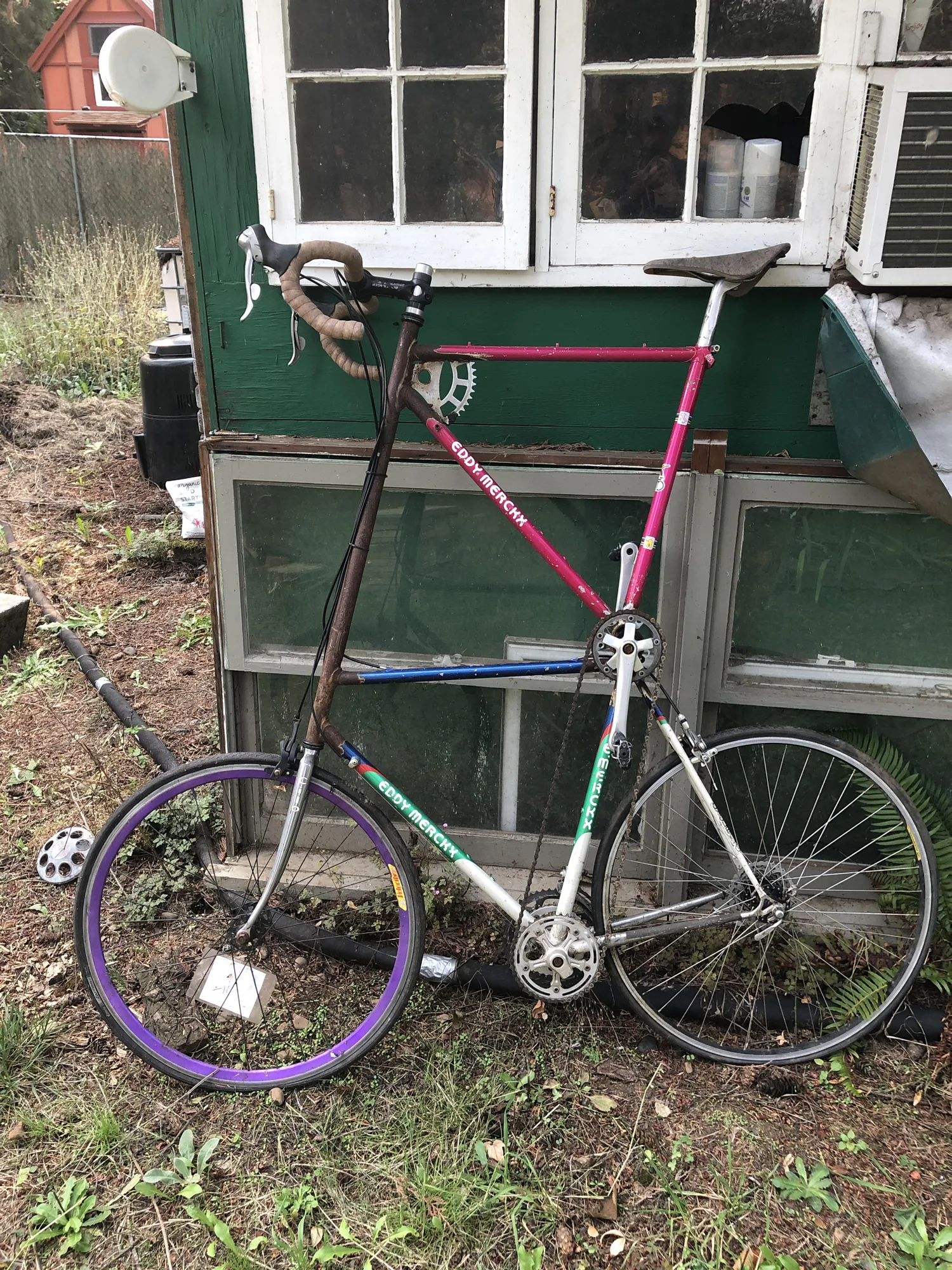 Happy Eddy Merckx's